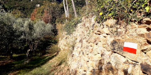 segnavia